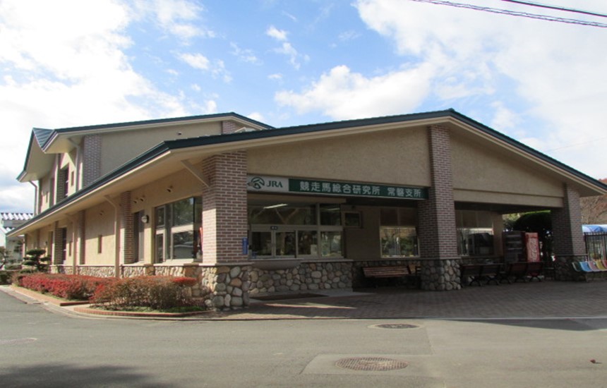 JRA競走馬総合研究所リハビリテーションセンター - いわき JRA競走馬総合研究所リハビリテーションセンター - いわき
